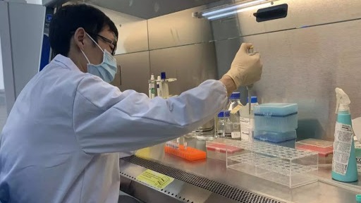 驻美使馆:中方将在美国全面实施赴华乘客核酸检测措施_凤凰网