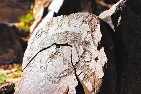 岩画中展现一只猛兽被两个猎人前后堵截的图案