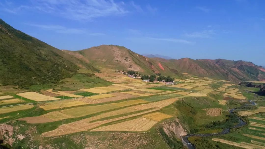 天祝朵什镇特色产业辟新路迎完美蝶变