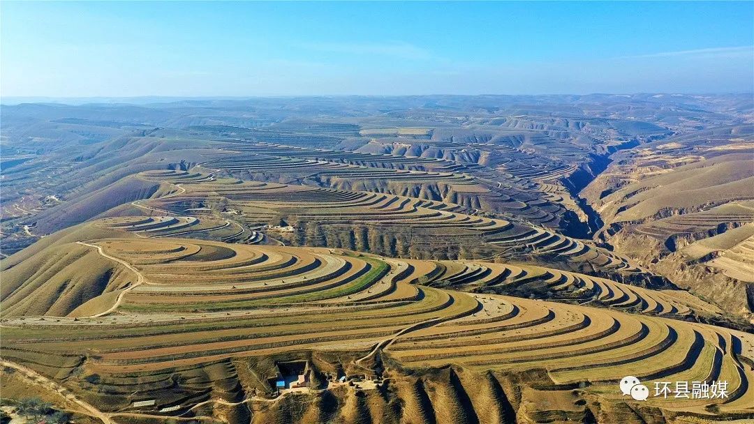 车道镇陈掌梯田