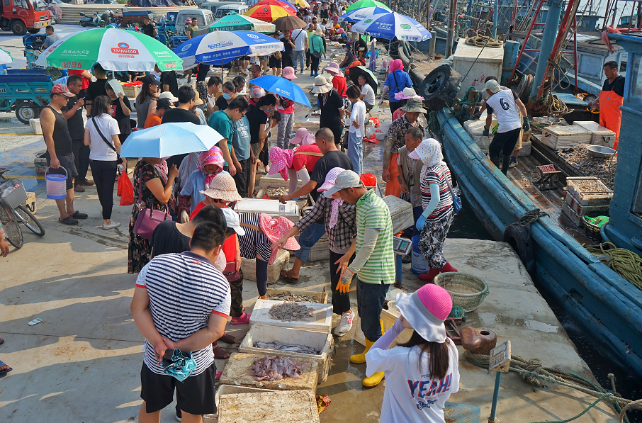 王哥庄街道:码头一新迎开海,蟹虾抢手渔民乐凤凰网青岛_凤凰网