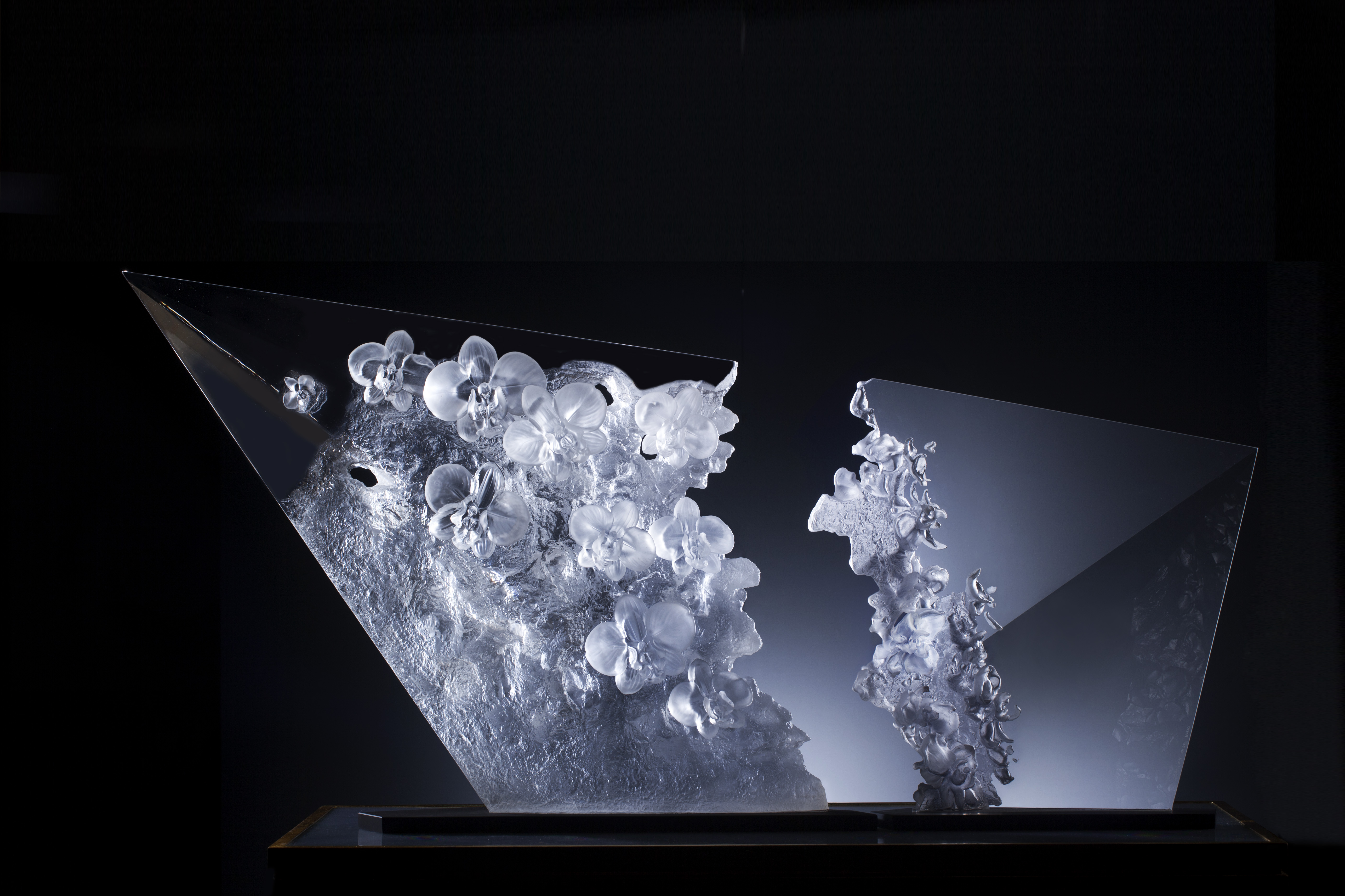 《杨惠姗的兰花》