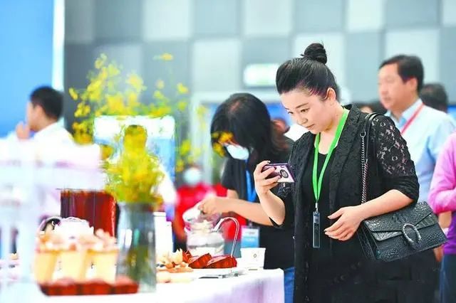 走进“药博会” 陇西税务赋能中药产业发展