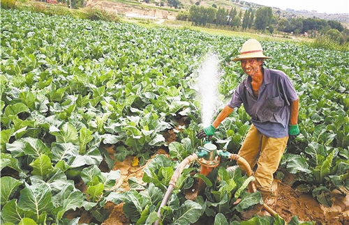 甘肃定西市符川镇兰星村村民陈生禄正在灌溉 赵梅 摄