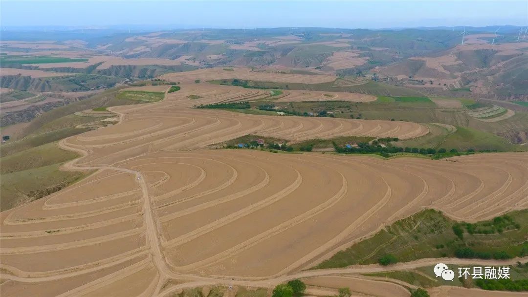 环县梯田美如画