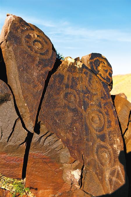 太阳和鸟图案的岩画
