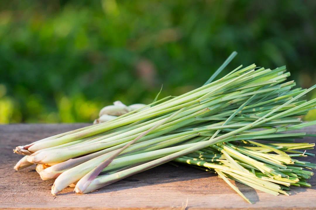 云南为什么这么香?_凤凰网