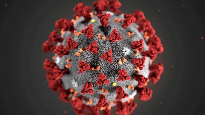 澳研究发现抗sars病毒化合物或可治疗新冠