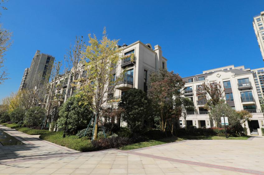 印象花语墅成功引起了著名主持人的注意