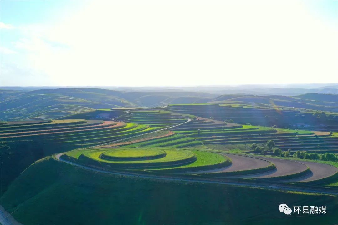 车道镇樱桃掌梯田
