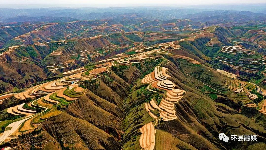 合道镇沈岭村梯田