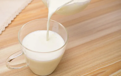 红星美羚小课堂:关于羊奶,你不知道的那些真相