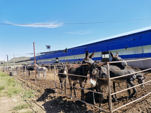 会宁：挪出“穷窝窝” “搬”来幸福生活