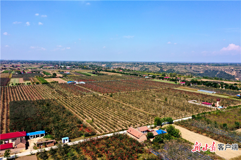 彩票 公益 酒业 注册登录 站长统计 甘肃 > 资讯 甘肃 > 资讯 > 庆阳