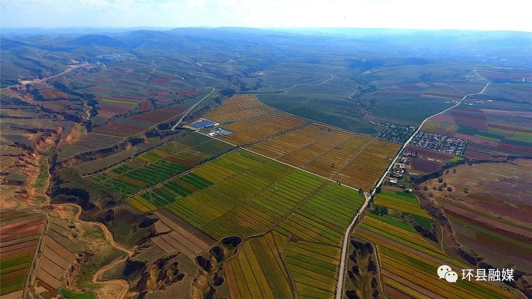 环县梯田美如画