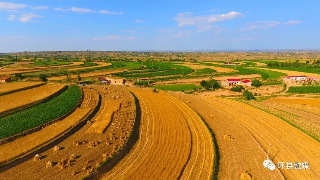 环县梯田美如画