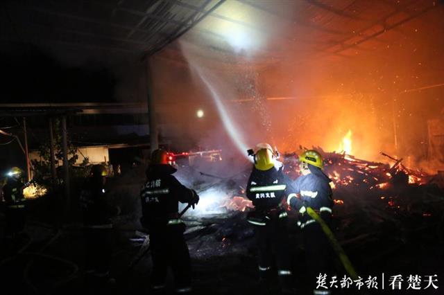 事后，消防员调看厂区监控发现，当日18时01分，锅炉房附近木材最先冒烟起火，18时06分出现明火，短短5分钟，一股小烟便迅速蔓延扩大。当日，天气干燥，锅炉附近温度太高，导致堆积在附近的木材自燃。