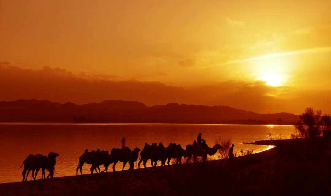2011年8月23日李军摄于民勤县红崖山水库景区