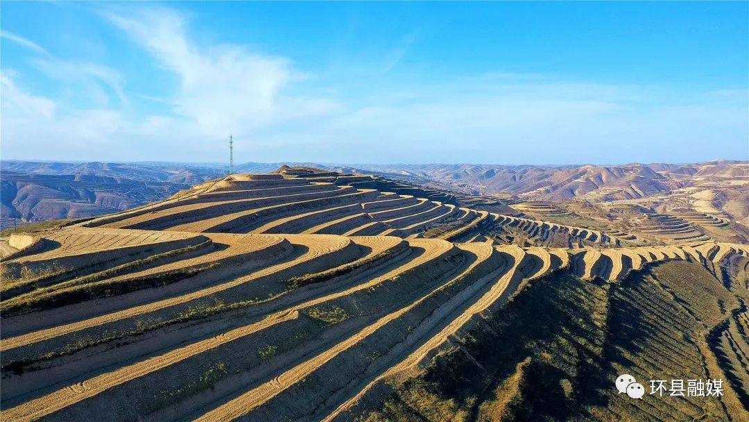 环县梯田美如画
