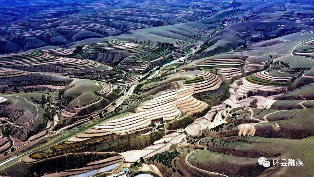 车道镇刘渠梯田