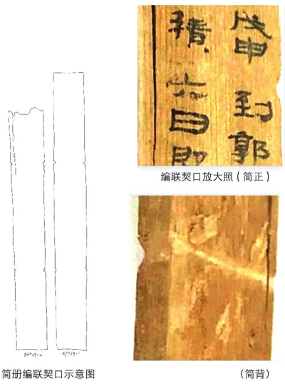 编联契口放大照（简正）