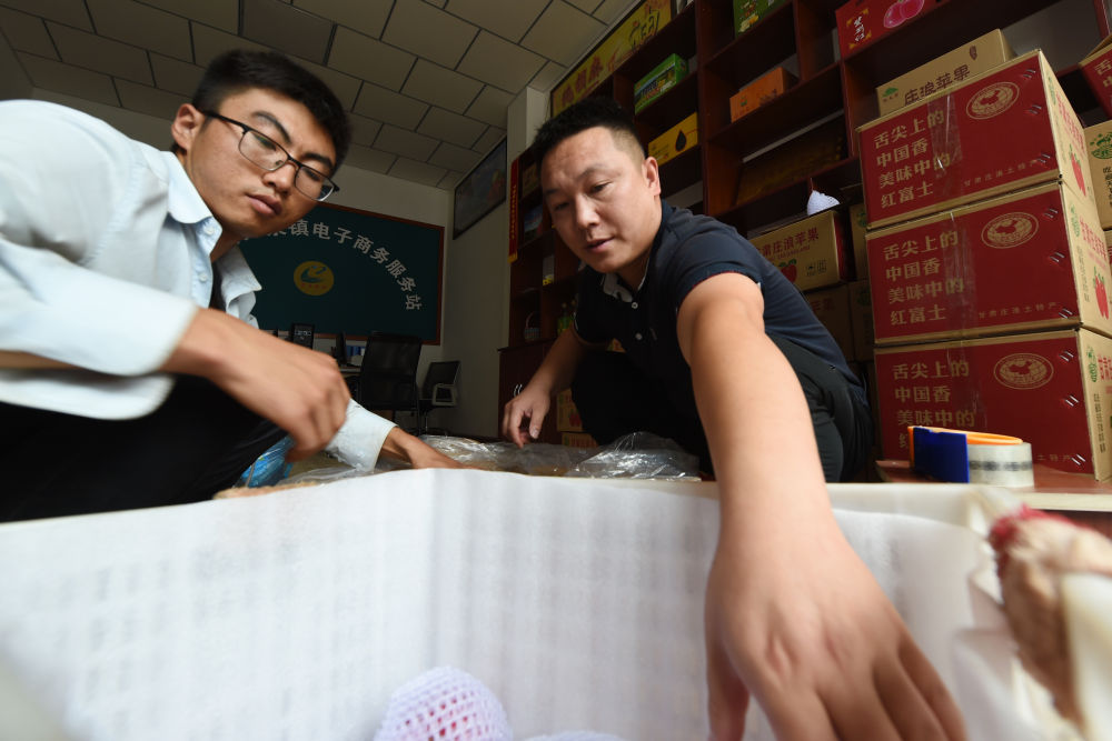 在庄浪县万全镇电子商务服务站，邵子斌（右）将采摘的苹果装箱（9月3日摄）。新华社记者 范培珅 摄