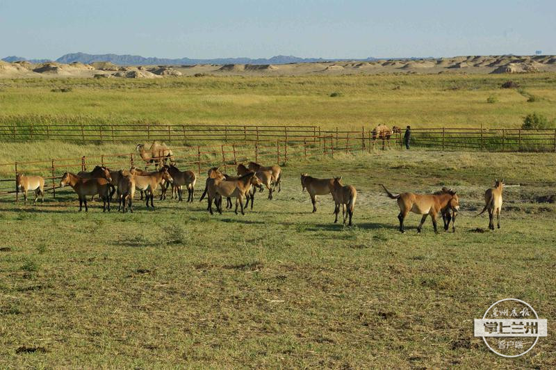 binary_middle (1).jpg