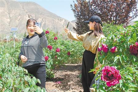 游客在花丛中拍照留念 新甘肃·甘肃日报通讯员 李全有