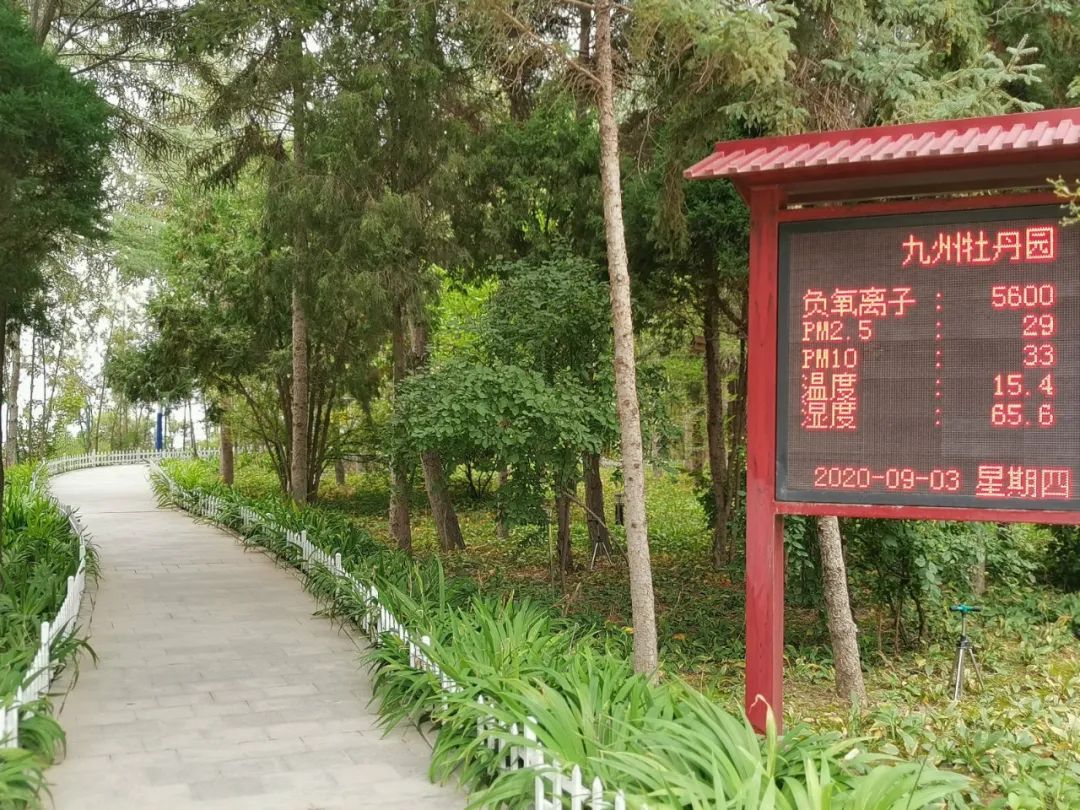精致兰州文明同行!半城新绿半城景,至今两山翠欲滴