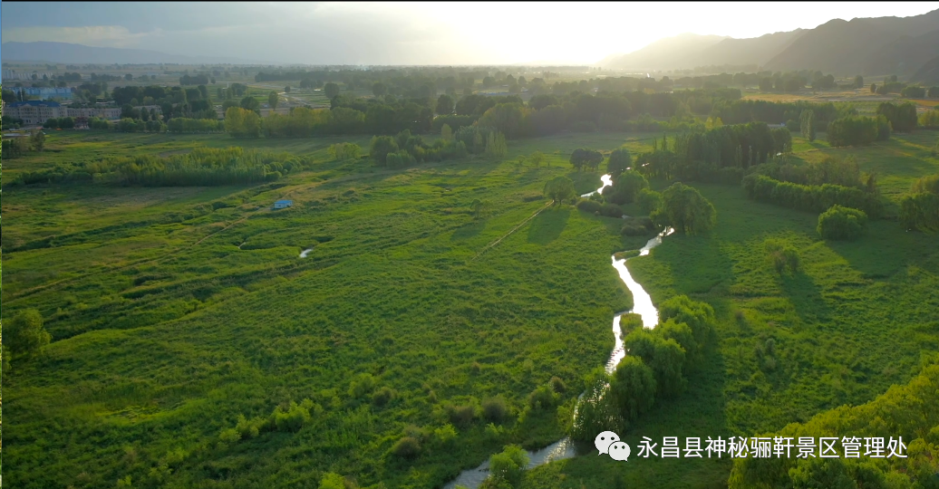 永昌北海子湿地公园今日开园！