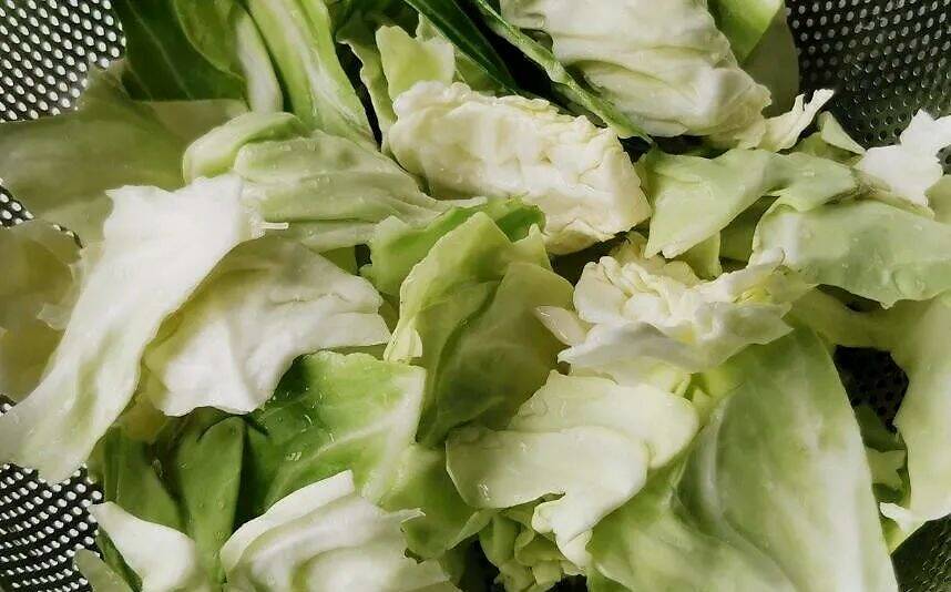 包菜挑 重 好还是 轻 好 很多人选错了 难怪不脆不新鲜 燕山网