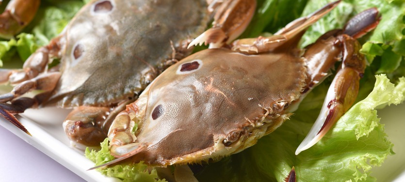 一大波青岛海鲜向我们袭来 你确定不尝一下这些美食？