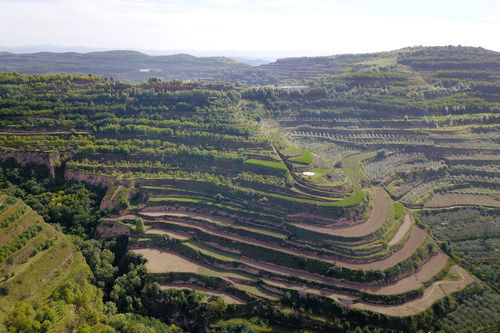 “梯田之乡”甘肃庄浪县的“三级跳