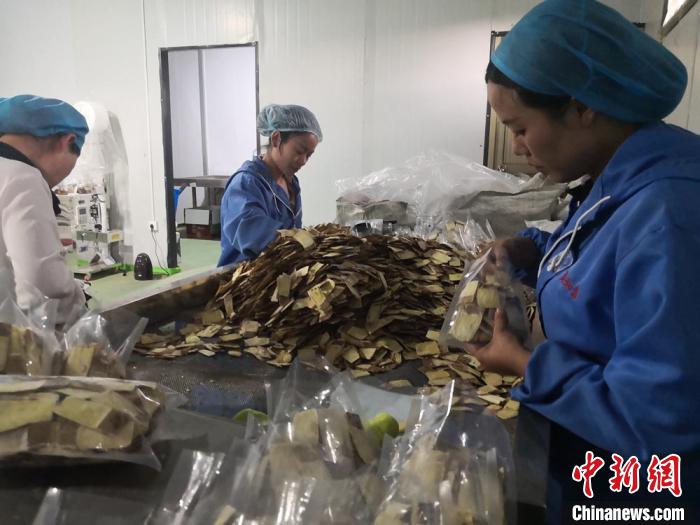 图为在甘肃聚和泰电子商务有限公司包装车间里，工人将药材分装。杜萍 摄