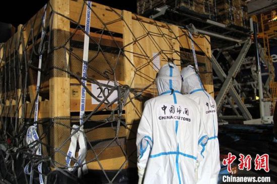 这是甘肃省首次引进种猪入境,旨在改良本土品种,促进养猪产业转型升级发展。图为兰州海关工作人员对进口种猪进行检验检疫。兰州海关供图