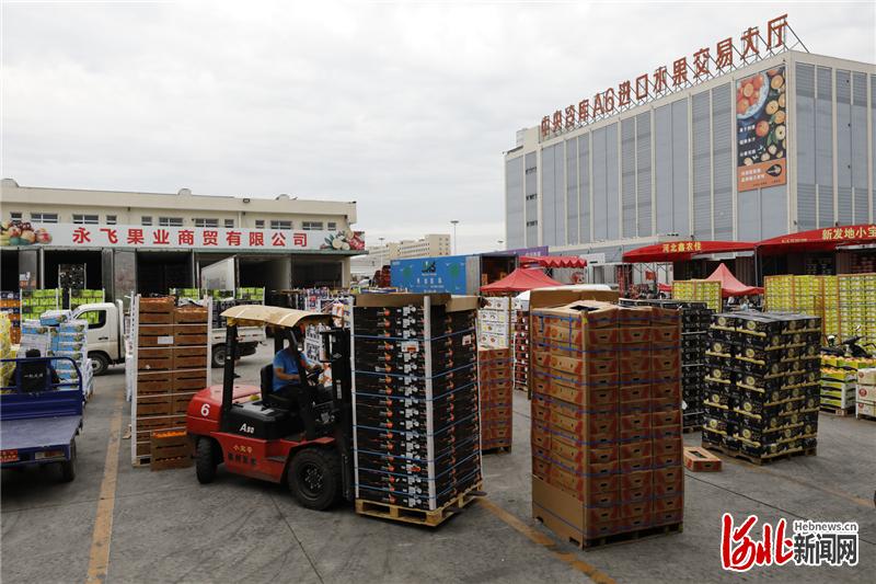 在河北新发地进口果交易专区,来自于泰国、马来西亚、南非等世界各地的进口果正在集中装卸。通讯员罗大庆 摄