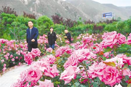 游人徜徉在贵清山植物园美景中 新甘肃·甘肃日报记者 张铁梁