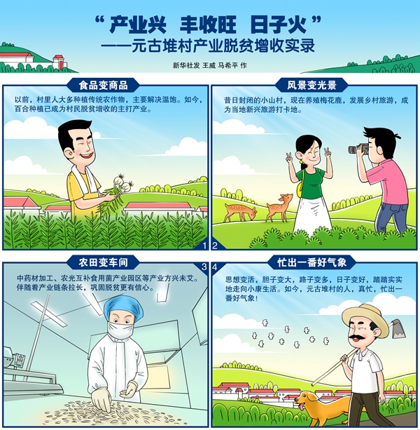 新华社发 王威 马希平 作