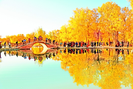 游客在金塔县沙漠胡杨林景区游览 (资料图片) 李斌龙 摄