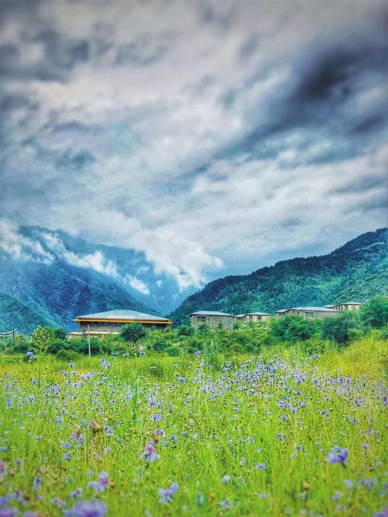 谢协村 迭部县委宣传部供图