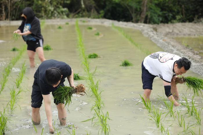 点击进入下一页