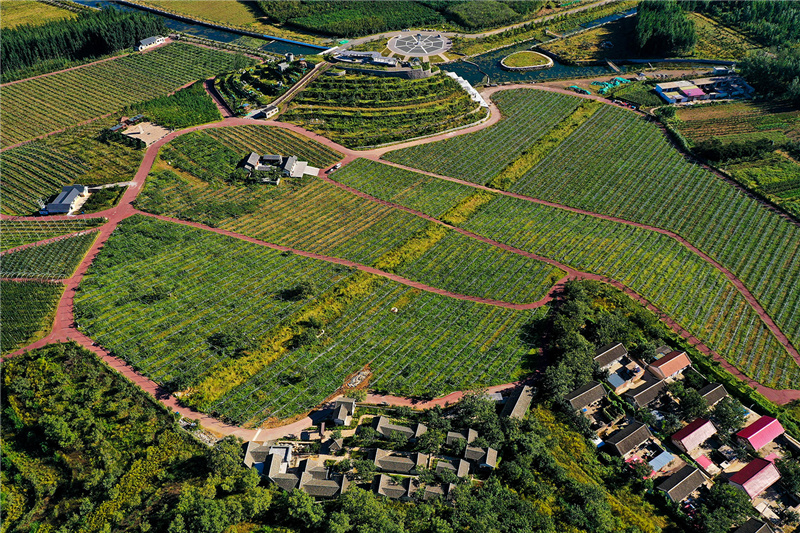 2020年9月9日，河北省唐山市迁西县莲花院乡田园综合体示范区田园美景如画。（无人机照片）