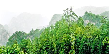 贵清神韵(漳县县委宣传部供图)