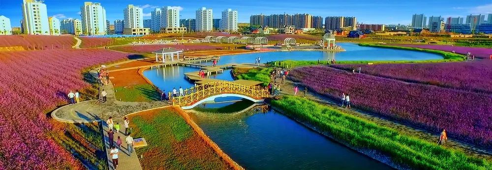 文明金川 诗歌礼赞创城