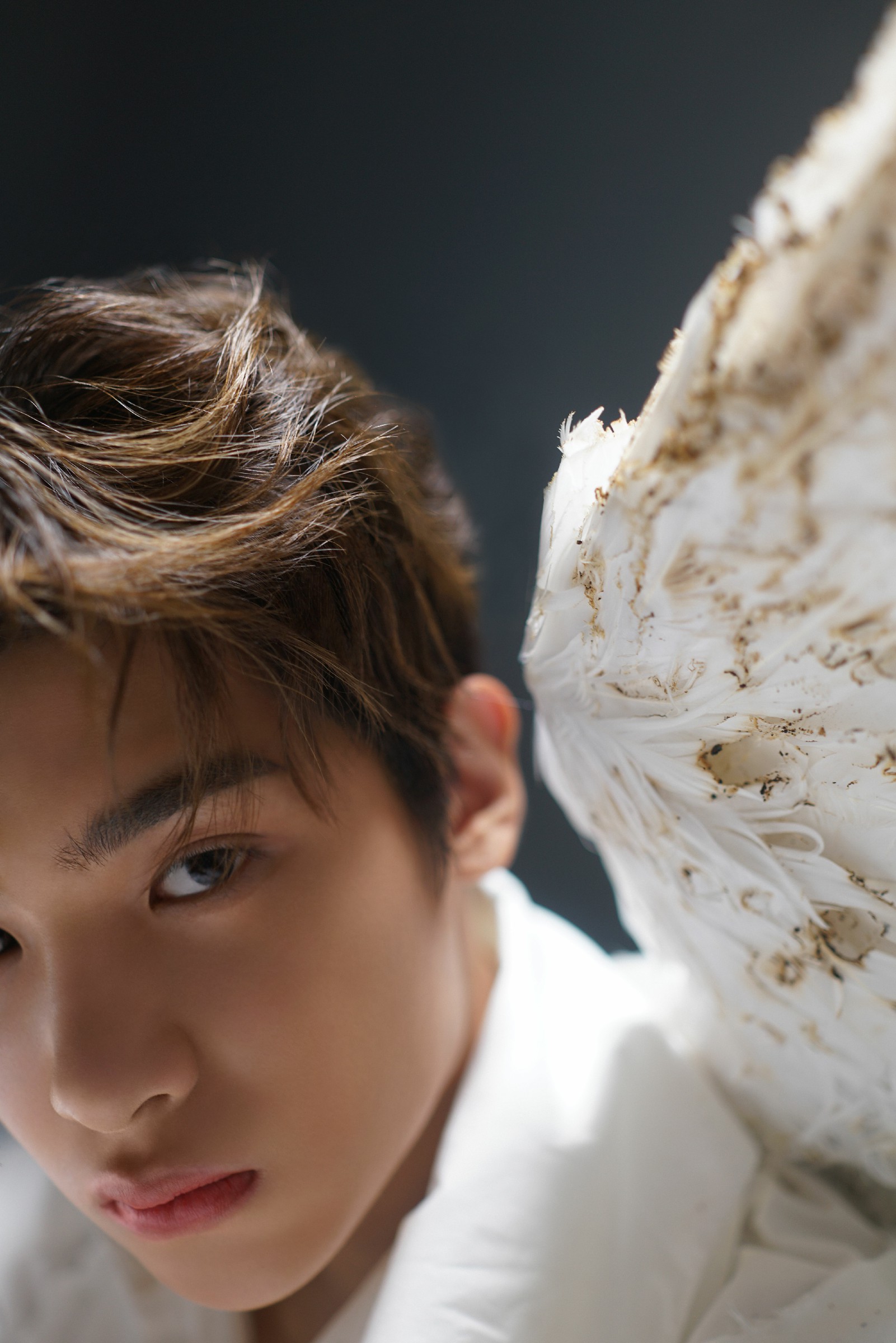 黄明昊angellovemv治愈上线装上翅膀就拥有了飞翔的力量