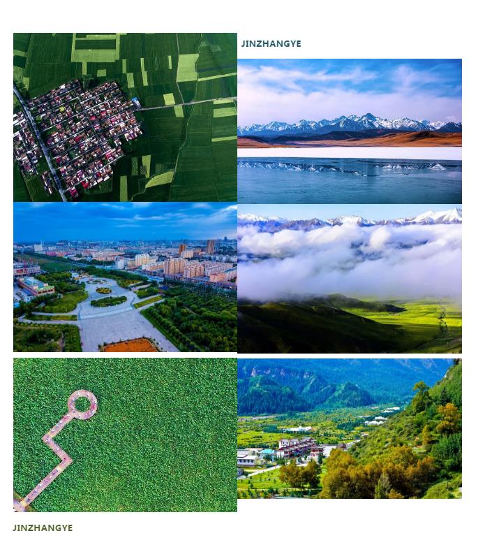 漠漠水田白鹭飞 又闻“江南”芦笛声
