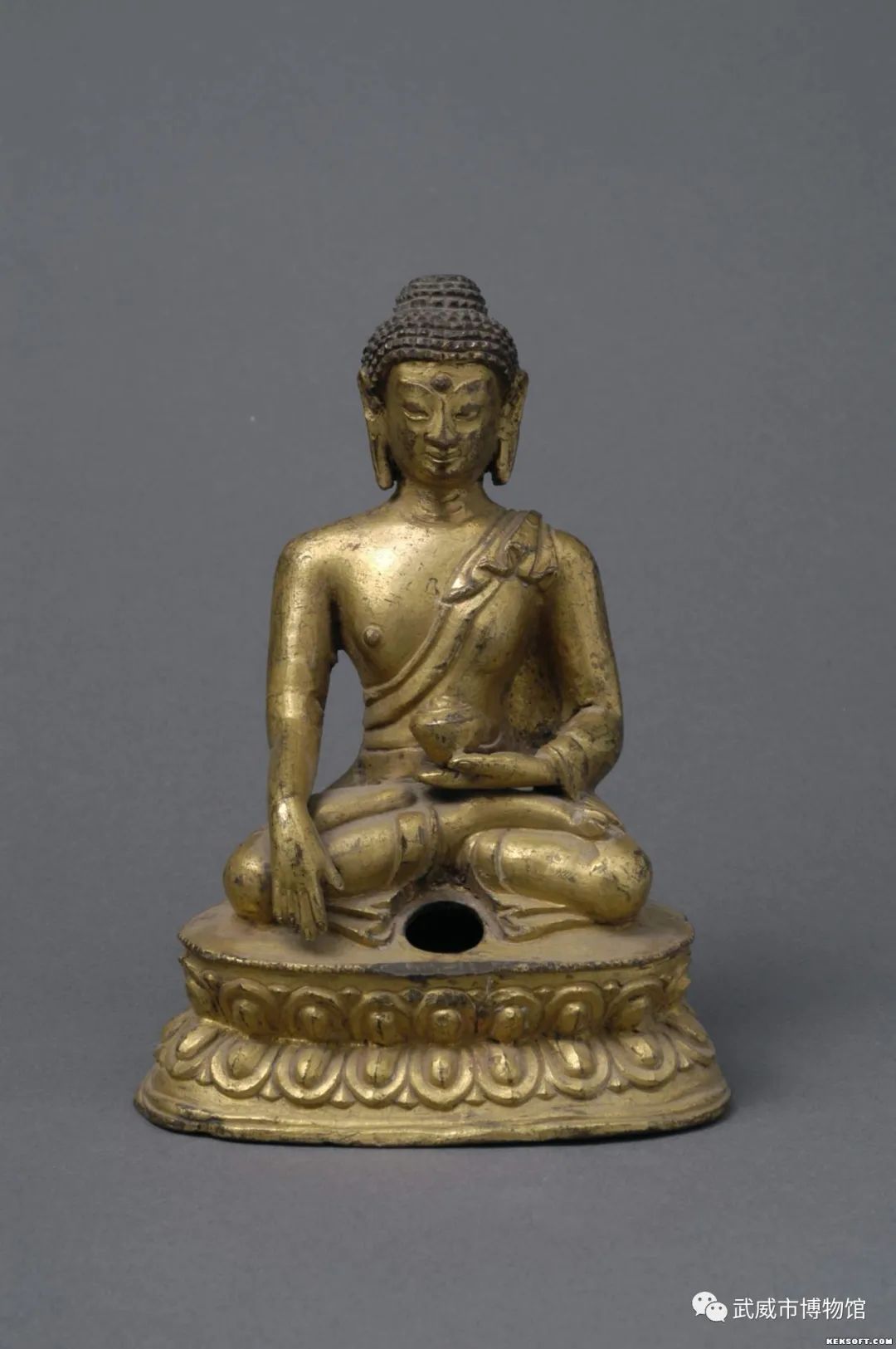 （武威文体广电旅游）