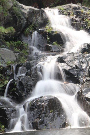 秀水峪景区位于唐县倒马关乡南上沟村,是由十几道山谷组成的万亩松林