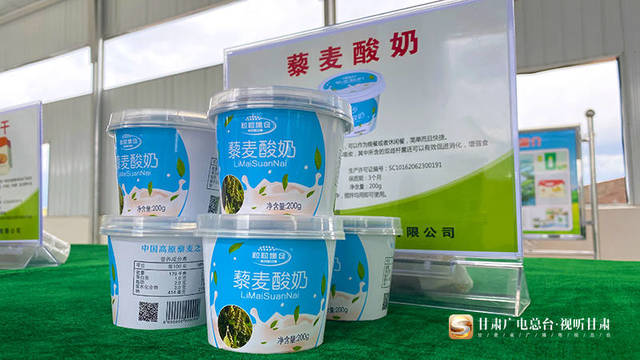 天祝高原藜麦“走俏”市场 撬动扶贫大产业