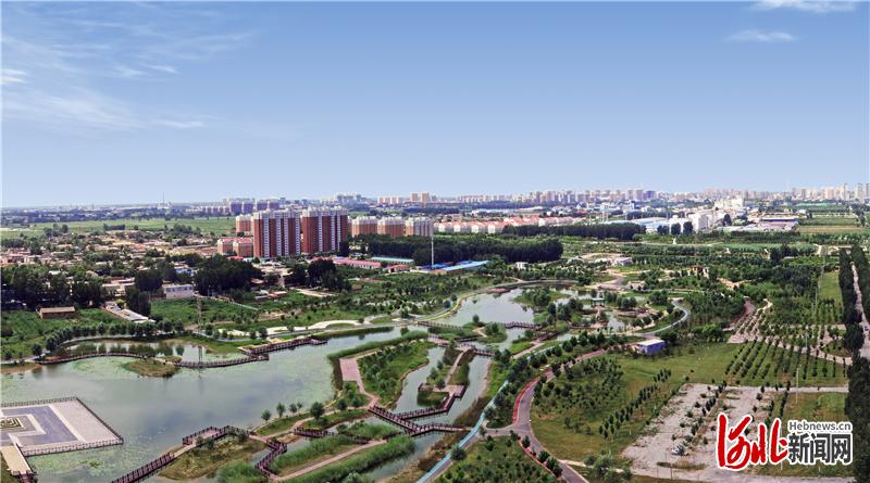 辛集市东部湿地公园。（资料片）河北日报记者史晟全摄